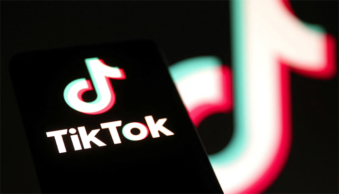 TikTok logo is seen in this illustration taken January 8, 2025.— Reuters