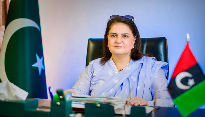 An undated image of BISP Chairperson Senator Rubina Khalid. — BISP