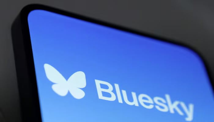 Bluesky app logo is seen in this illustration taken November 19, 2024. — Reuters