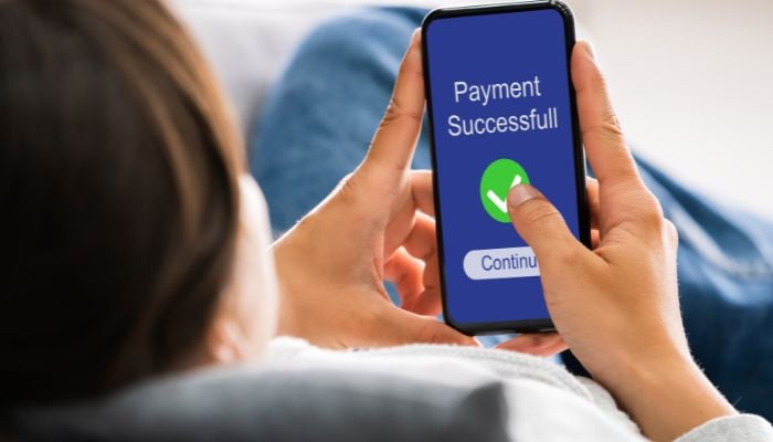 An undated image of a person using an online payment platform. — Canva